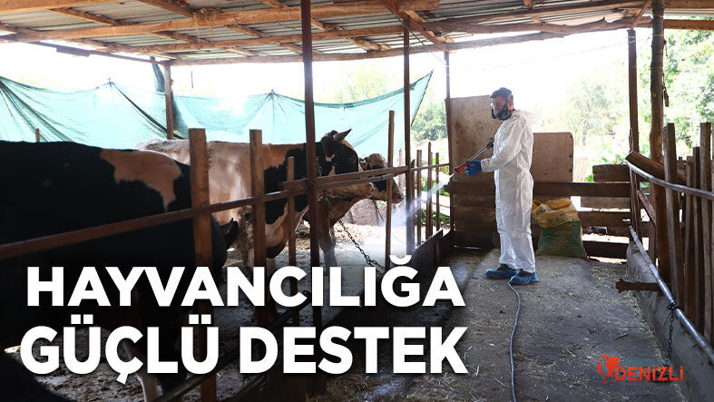 hayvanciliga-guclu-destek